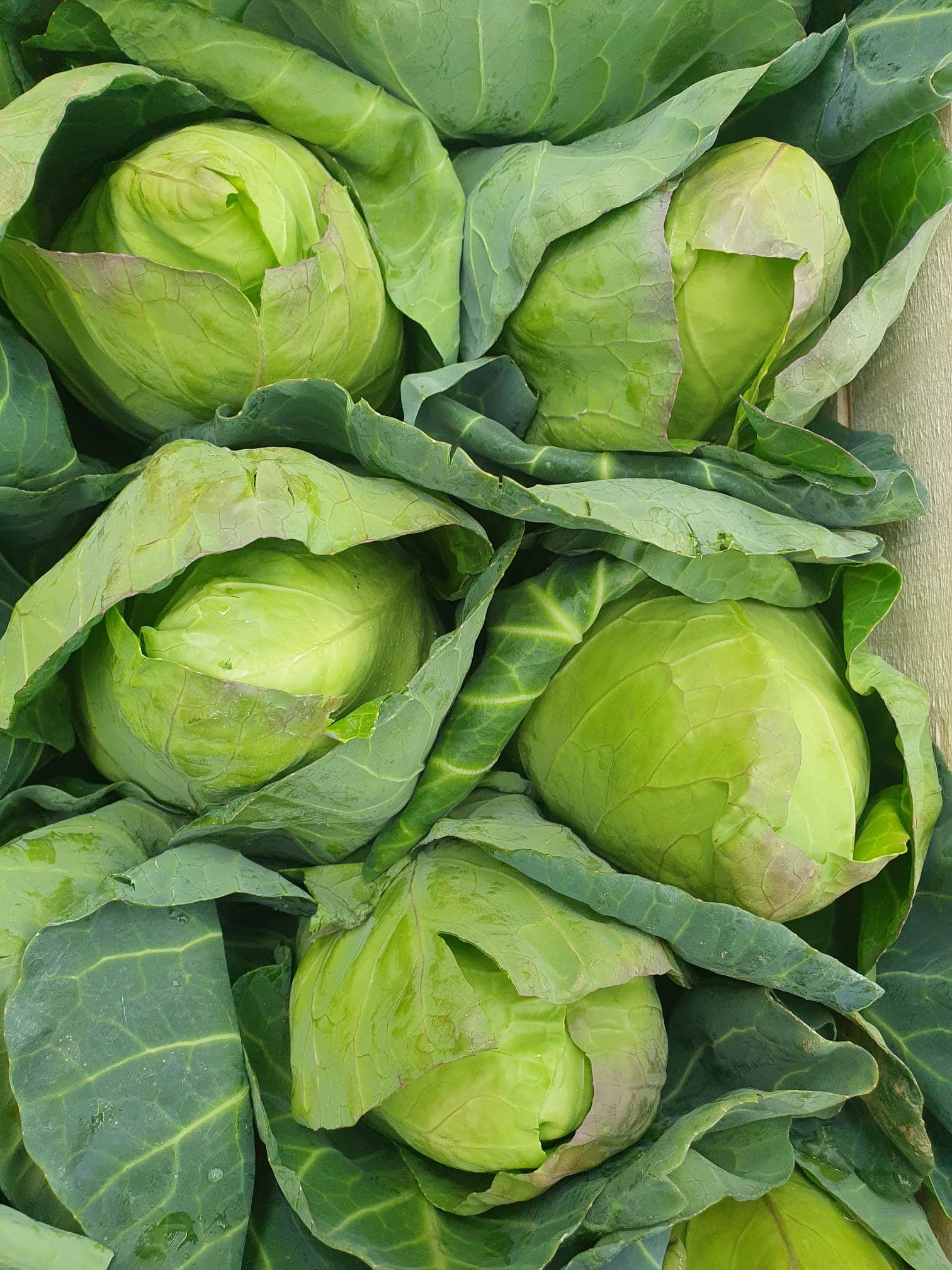 Fruit and veg