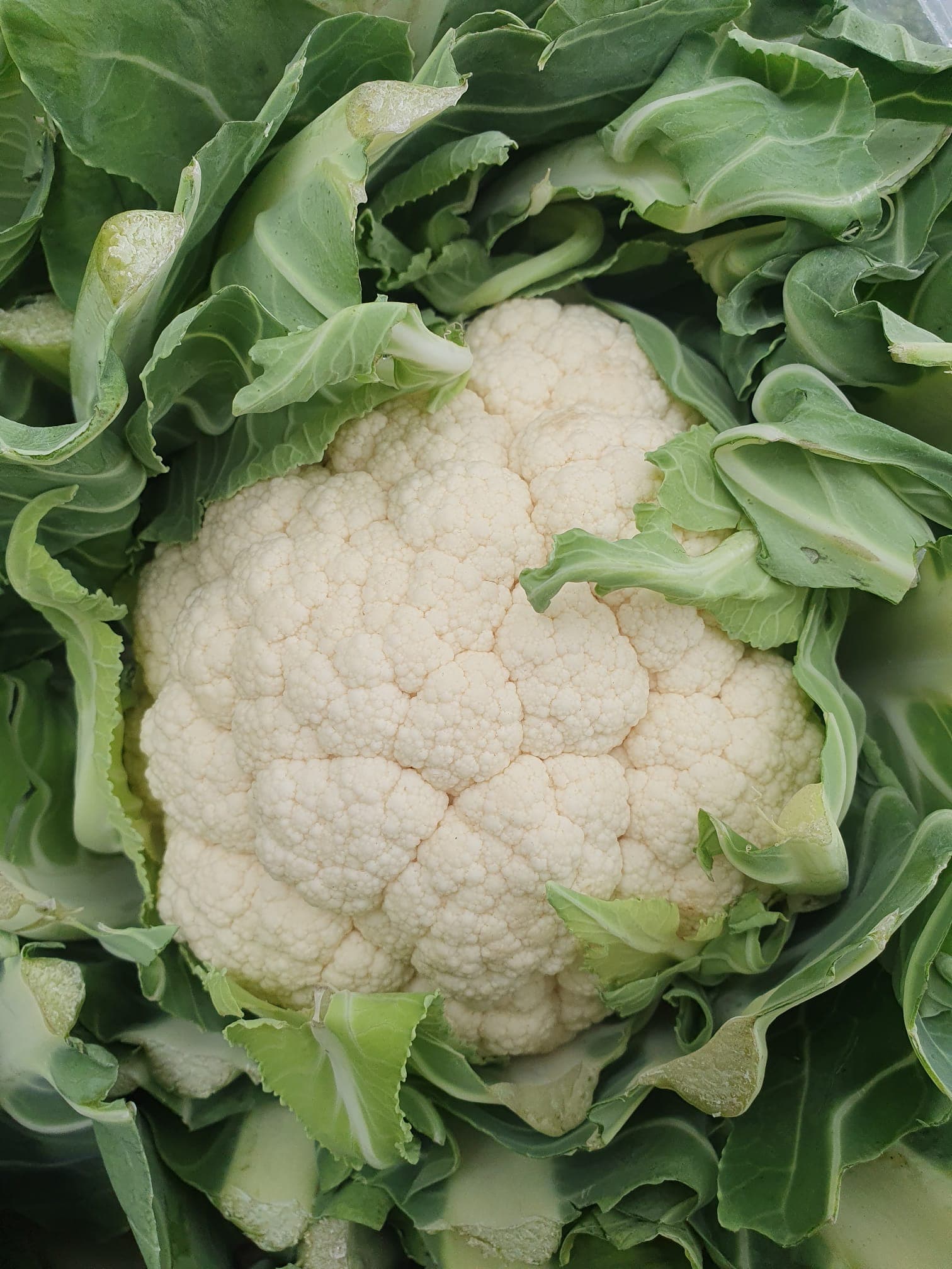Fruit and veg